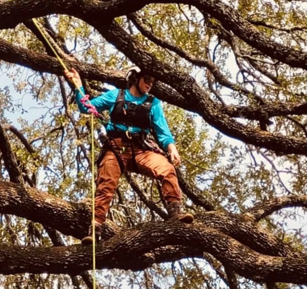 Nikki Cooper of Asheville Arborists